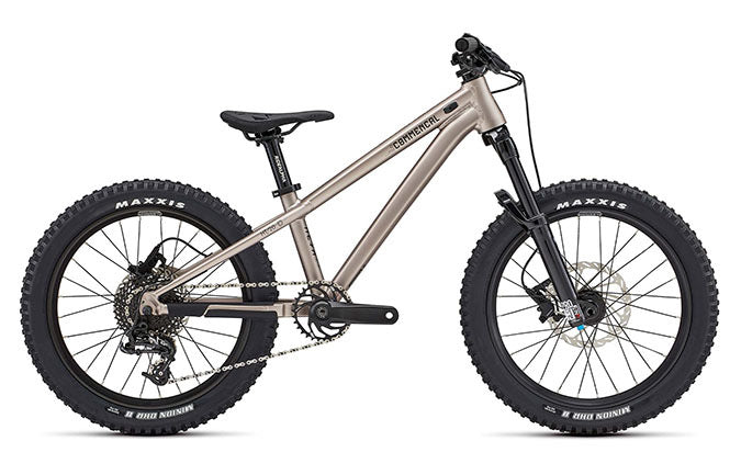 Paint for 2022 Commencal Meta HT 20 - Matte Champagne