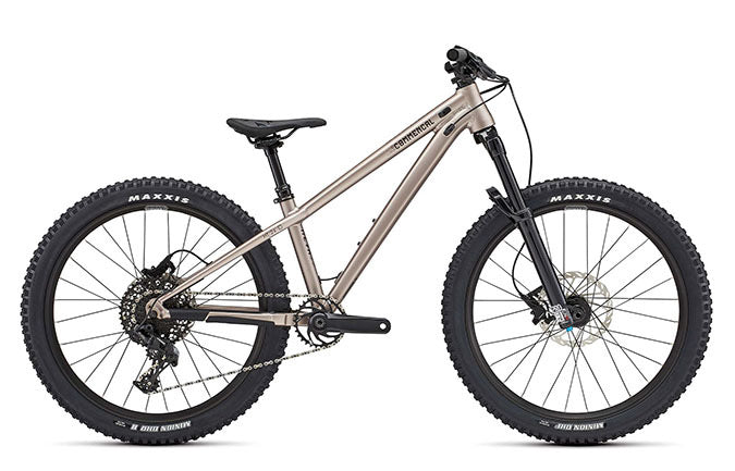 Paint for 2022 Commencal Meta HT 24 - Matte Champagne
