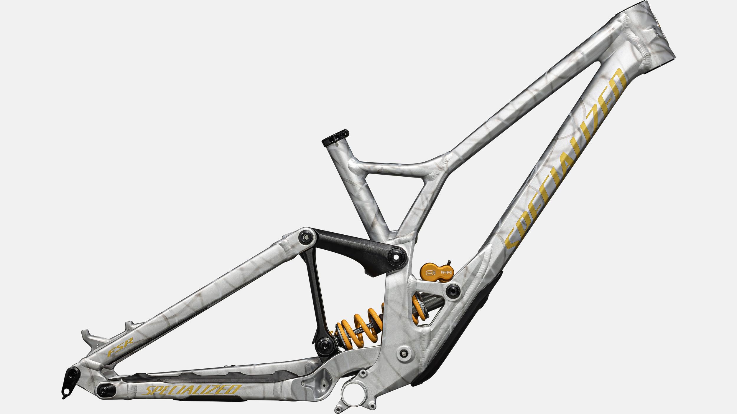 Paint for 2024 Specialized Demo Race Frameset - Gloss Silver Dust