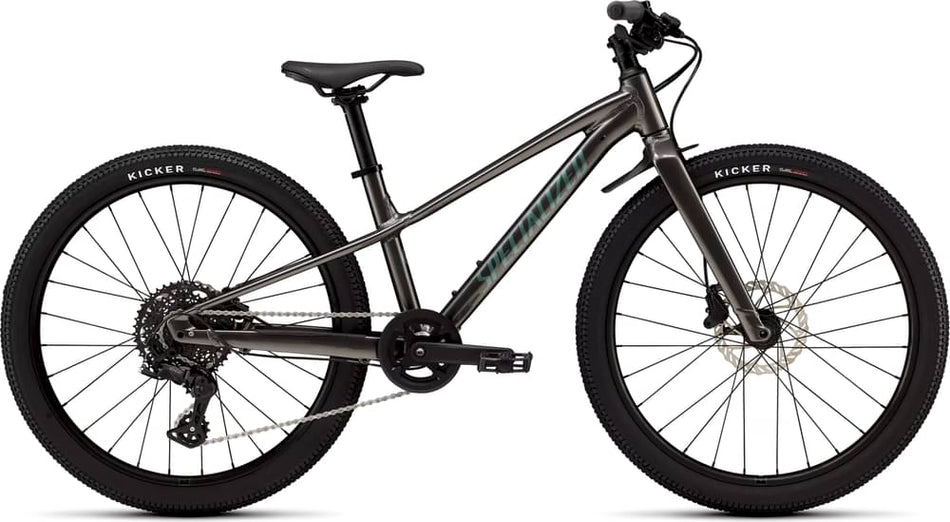 Paint for 2026 Specialized Riprock 24 - Gloss Smoke