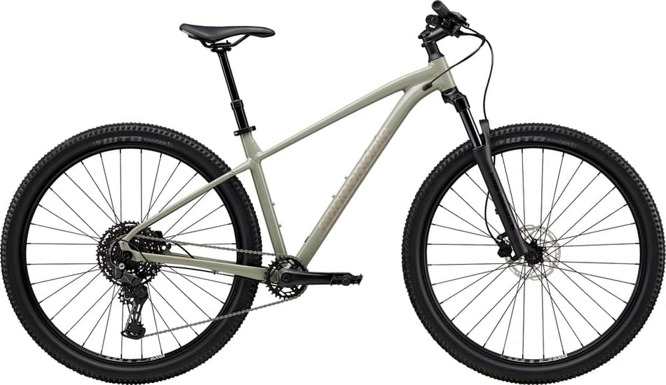 Paint for 2025 Cannondale Trail 1 - Gloss Tiger Shark