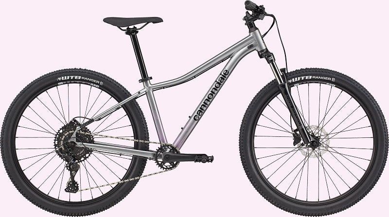 Paint for 2021 Cannondale Trail Women's 5 (C26301F) - Gloss Lavender