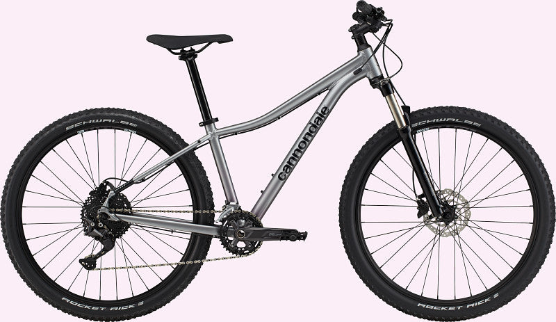 Touch-up paint for 2021 Cannondale Trail Women's 5 (C26351F SMU) - Gloss Lavender
