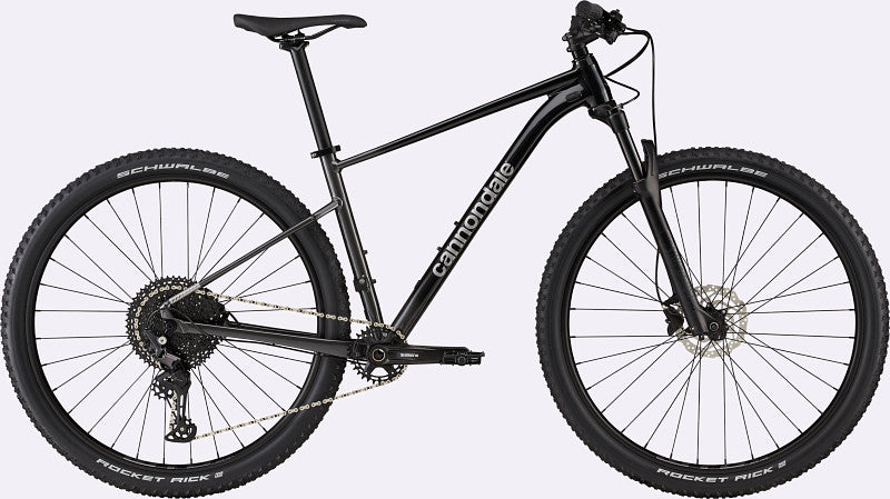 Paint for 2021 Cannondale Trail SL 3 (C26351M) - Gloss Black Pearl