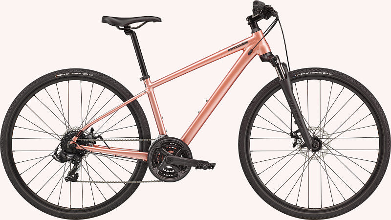 Paint for 2021 Cannondale Quick CX Women's 4 (C31451F) - Gloss Salmon