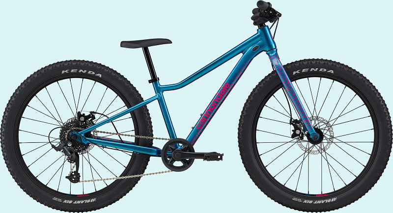 Paint for 2023 Cannondale Kids Trail Plus 24 (C51102U) - Gloss Deep Teal