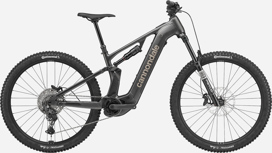 Paint for 2025 Cannondale Moterra Neo 3 - Gloss Obsidian