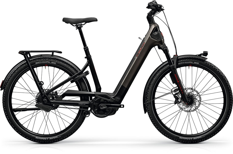 Paint for 2026 Centurion Country R4000 L ABS - Satin Chromschwarz