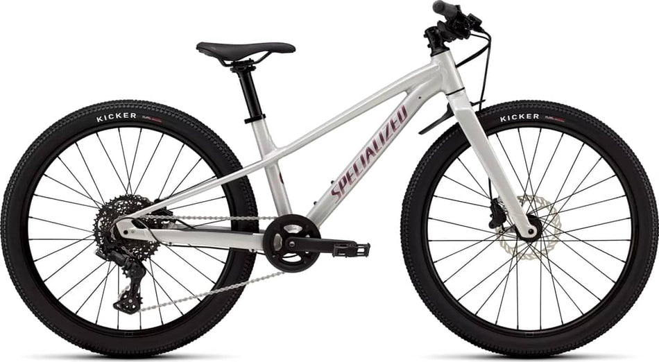 Paint for 2026 Specialized Riprock 24 - Gloss Dolomite Metallic