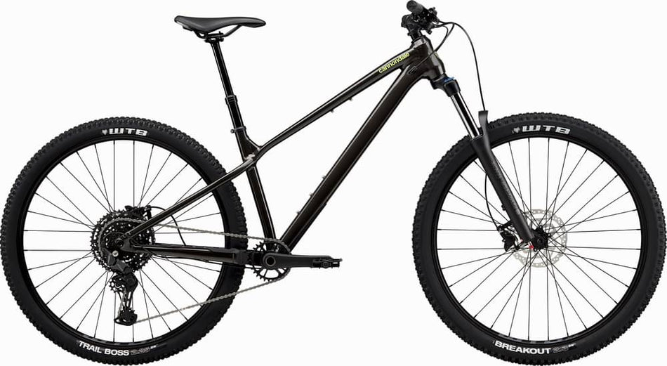 Paint for 2025 Cannondale Habit HT 2 - Gloss Obsidian