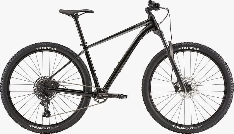 Paint for 2020 Cannondale Trail 3 - Matte Black - Rotaris B.V.