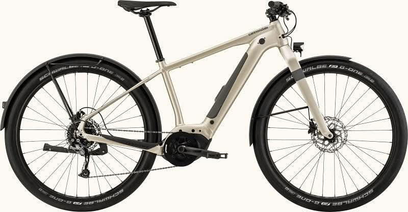 Paint for 2021 Cannondale Canvas Neo 2 - Gloss Champagne - Rotaris B.V.