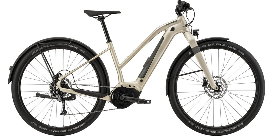 Paint for 2021 Cannondale Canvas Neo 2 Remixte - Gloss Champagne - Rotaris B.V.