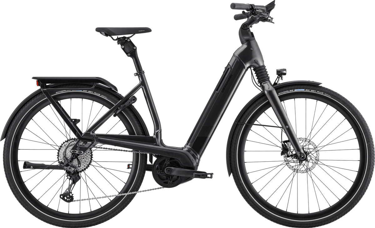 Paint for 2021 Cannondale Mavaro Neo 2 - Gloss Graphite - Rotaris B.V.