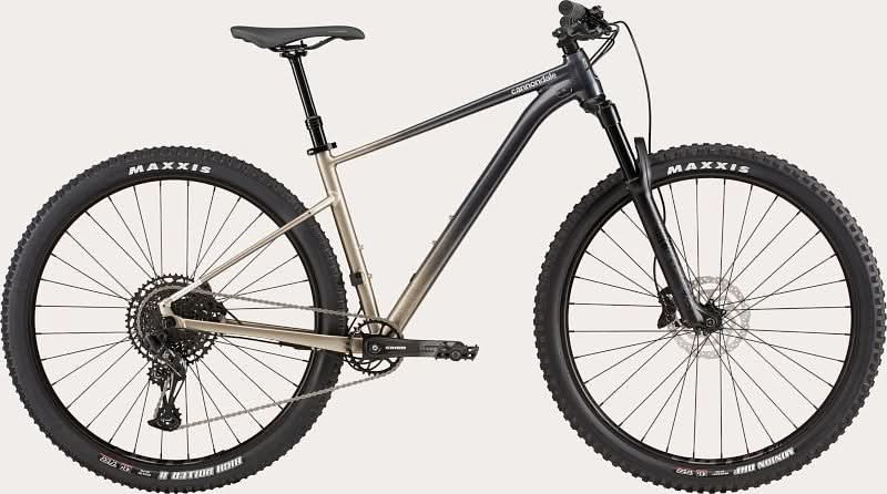Paint for 2021 Cannondale Trail SE 1 - Gloss Meteor Gray - Rotaris B.V.