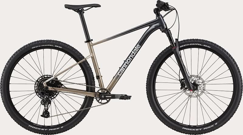 Paint for 2021 Cannondale Trail SL 1 - Gloss Meteor Gray - Rotaris B.V.