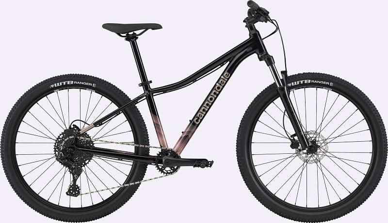 Paint for 2021 Cannondale Trail Women's 5 - Gloss Black Pearl - Rotaris B.V.