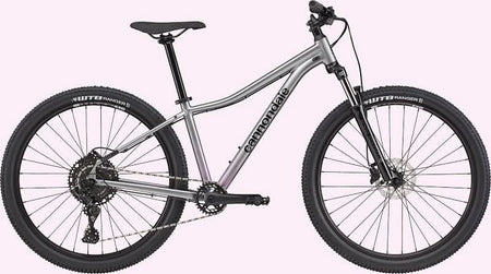 Paint for 2021 Cannondale Trail Women's 5 - Gloss Lavender - Rotaris B.V.