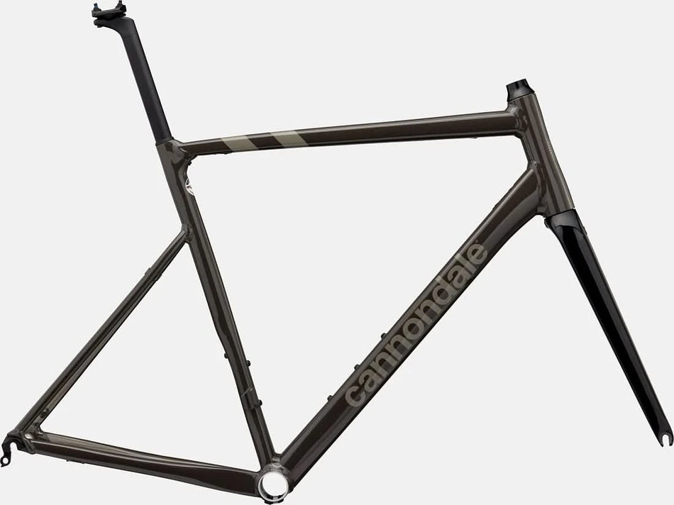 Paint for 2022 Cannondale CAAD13 Frameset - Gloss Smoke Black - Rotaris B.V.