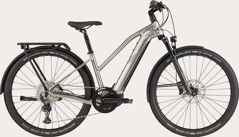 Paint for 2022 Cannondale Tesoro Neo X 1 Remixte - Gloss Meteor Gray - Rotaris B.V.
