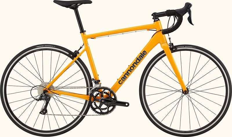Paint for 2023 Cannondale CAAD Optimo 3 - Gloss Mango - Rotaris B.V.
