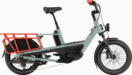 Paint for 2023 Cannondale Cargowagen Neo - Gloss Sage - Rotaris B.V.