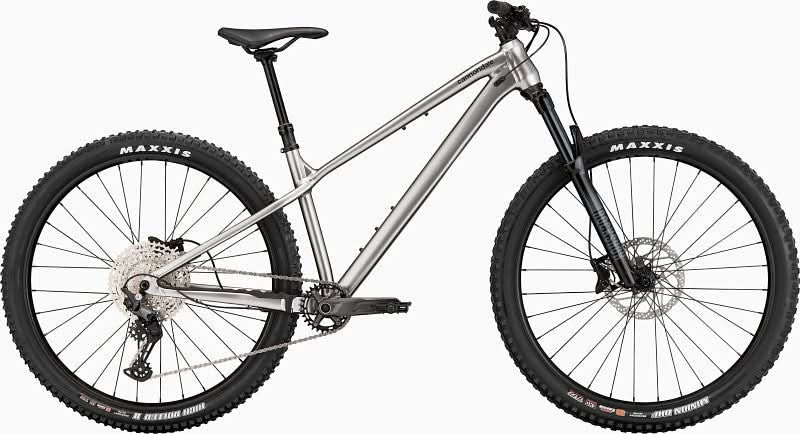 Paint for 2023 Cannondale Habit HT 1 - Gloss Mercury - Rotaris B.V.