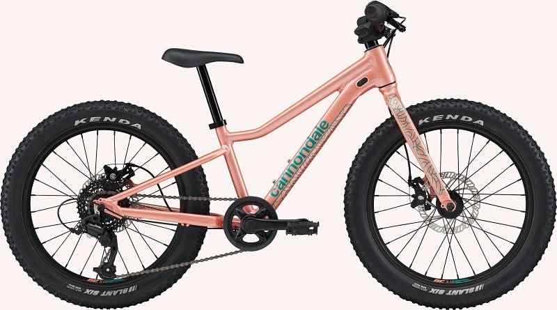 Paint for 2023 Cannondale Kids Trail Plus 20 - Gloss Salmon - Rotaris B.V.