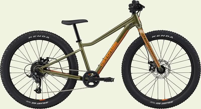 Paint for 2023 Cannondale Kids Trail Plus 24 - Gloss Mantis - Rotaris B.V.