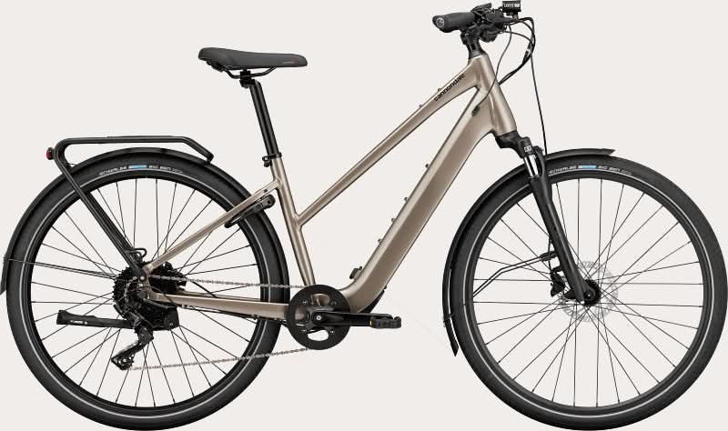 Paint for 2023 Cannondale Mavaro Neo SL 1 StepThru - Gloss Meteor Gray - Rotaris B.V.