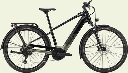 Paint for 2023 Cannondale Tesoro Neo X 2 - Gloss Mantis - Rotaris B.V.