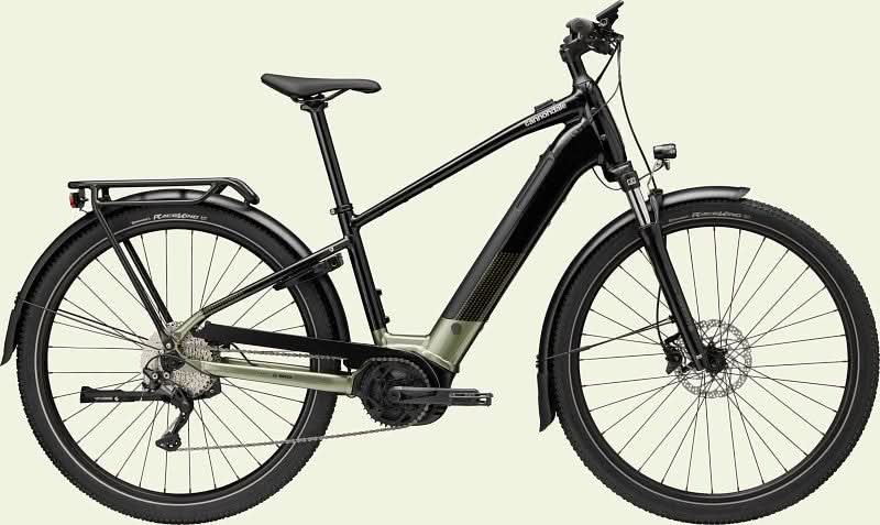 Paint for 2023 Cannondale Tesoro Neo X 2 - Gloss Mantis - Rotaris B.V.