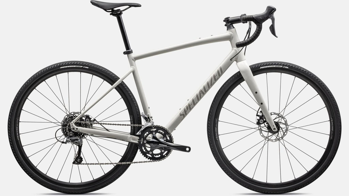 Paint for 2023 Specialized Diverge E5 - Gloss Birch - Rotaris B.V.