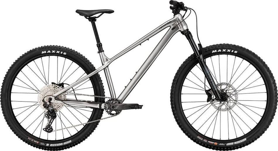 Paint for 2024 Cannondale Habit HT 1 - Gloss Mercury - Rotaris B.V.