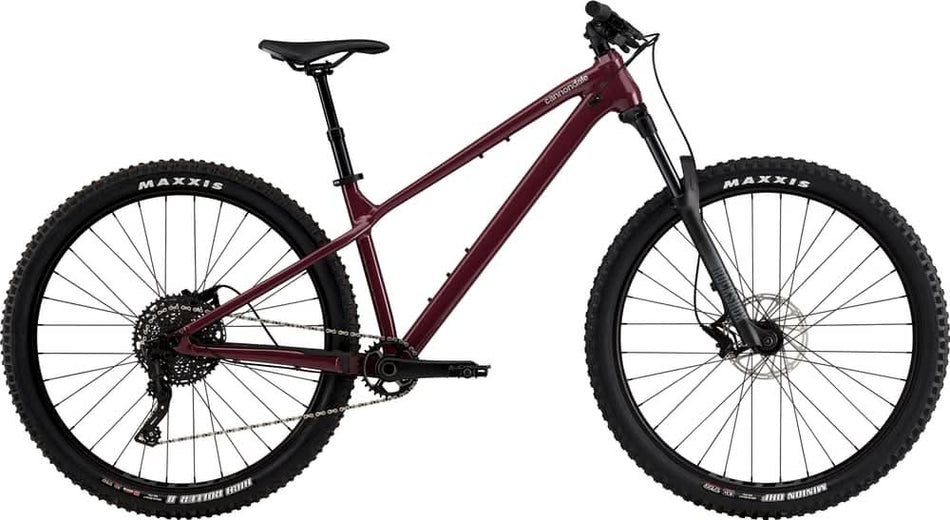 Paint for 2024 Cannondale Habit HT 2 - Gloss Black Cherry - Rotaris B.V.