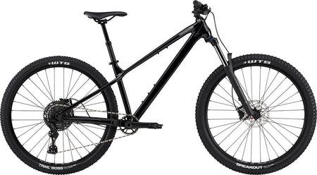Paint for 2024 Cannondale Habit HT 3 - Gloss Black Pearl - Rotaris B.V.