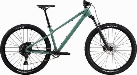 Paint for 2024 Cannondale Habit HT 3 - Gloss Jade - Rotaris B.V.