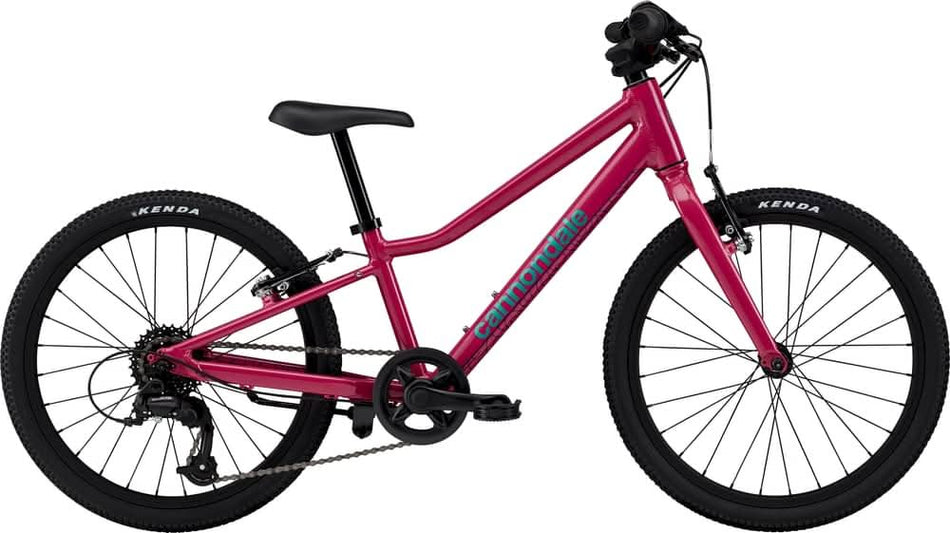 Paint for 2024 Cannondale Kids Quick 20 - Gloss Orchid - Rotaris B.V.