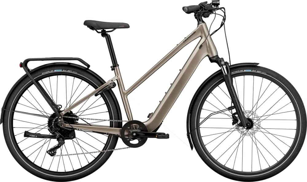 Paint for 2024 Cannondale Mavaro Neo SL 1 StepThru - Gloss Meteor Gray - Rotaris B.V.