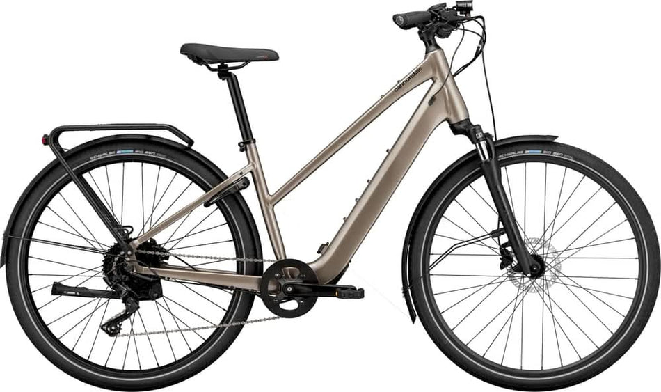 Paint for 2024 Cannondale Mavaro Neo SL 1 StepThru - Gloss Meteor Gray - Rotaris B.V.