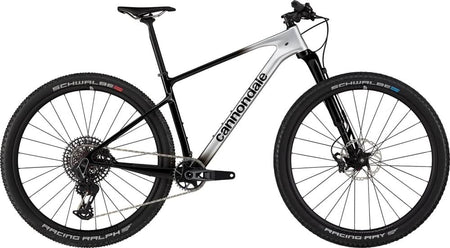 Paint for 2024 Cannondale Scalpel HT Carbon 1 - Gloss Mercury - Rotaris B.V.