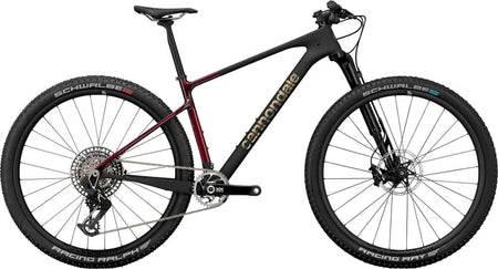 Paint for 2024 Cannondale Scalpel HT LAB71 - Gloss Black - Rotaris B.V.