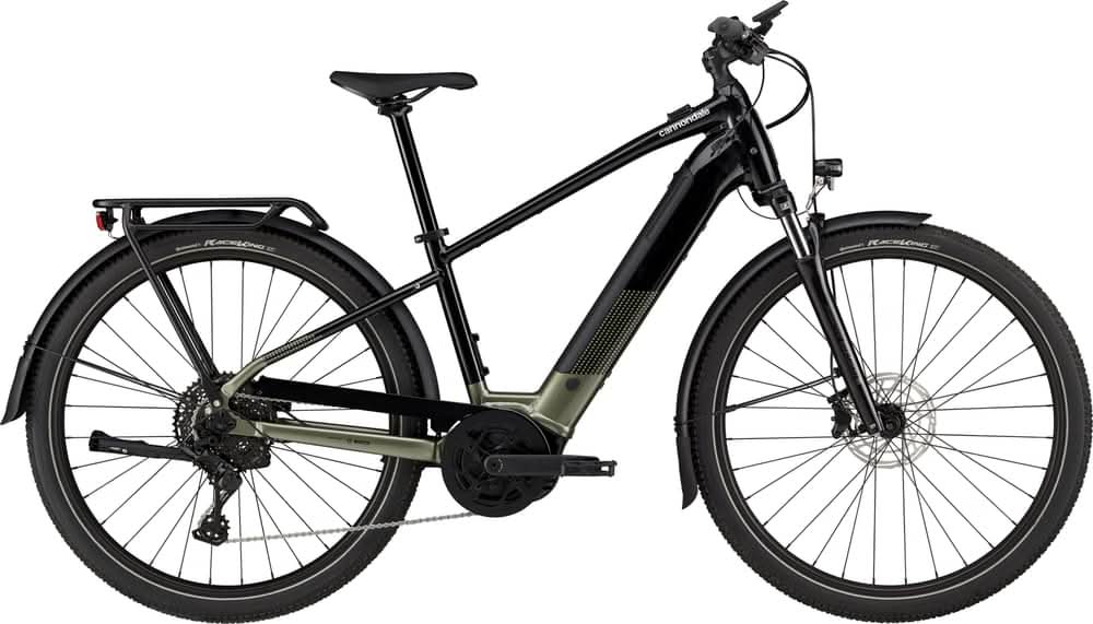 Paint for 2024 Cannondale Tesoro Neo X 2 - Gloss Mantis - Rotaris B.V.