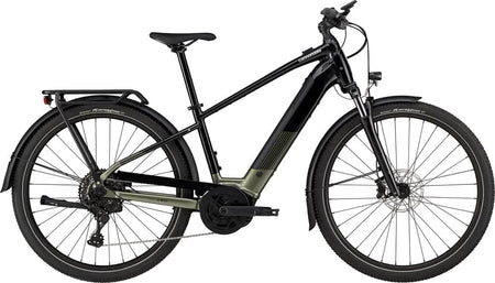 Paint for 2024 Cannondale Tesoro Neo X 2 - Gloss Mantis - Rotaris B.V.