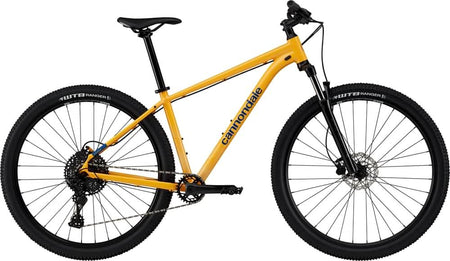 Paint for 2024 Cannondale Trail 5 - Gloss Mango - Rotaris B.V.