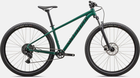 Paint for 2024 Specialized Rockhopper Sport - Gloss Pine Green - Rotaris B.V.