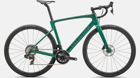 Paint for 2024 Specialized Roubaix SL8 Pro - Gloss Metallic Pine - Rotaris B.V.
