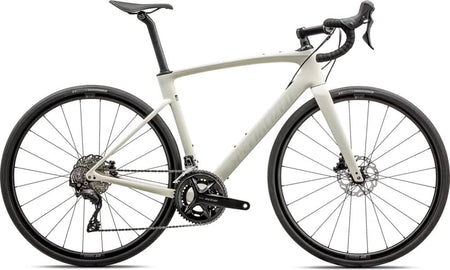 Paint for 2024 Specialized Roubaix SL8 Sport Shimano 105 - Gloss Birch - Rotaris B.V.