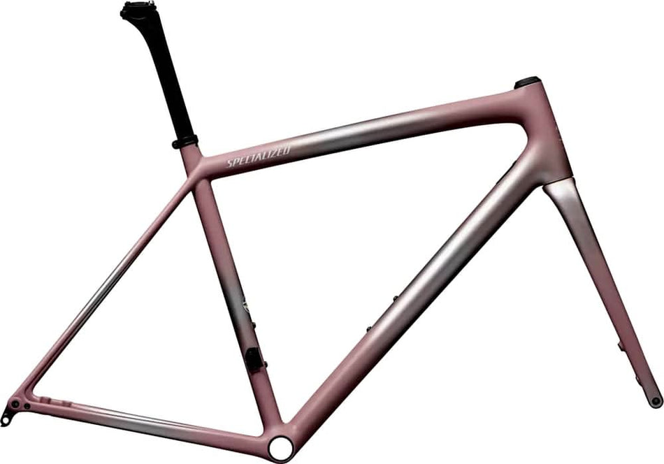 Paint for 2025 Specialized Aethos Frameset - Satin Flake Silver - Rotaris B.V.