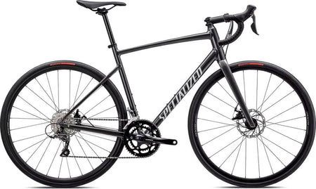Paint for 2025 Specialized Allez - Gloss Smoke - Rotaris B.V.